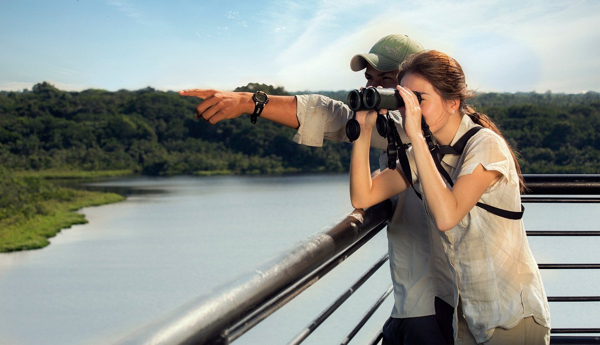 Napo Wildlife Center | Observation